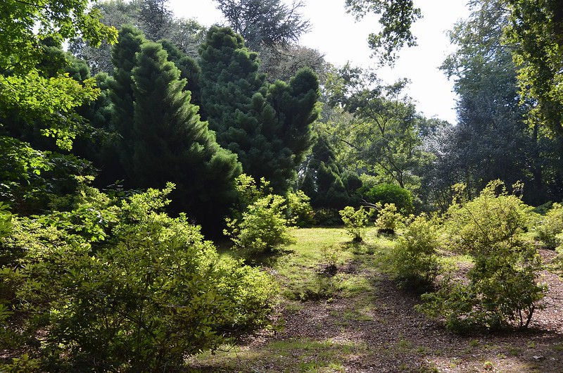 L'art des jardins paysagers en Europe : documentation