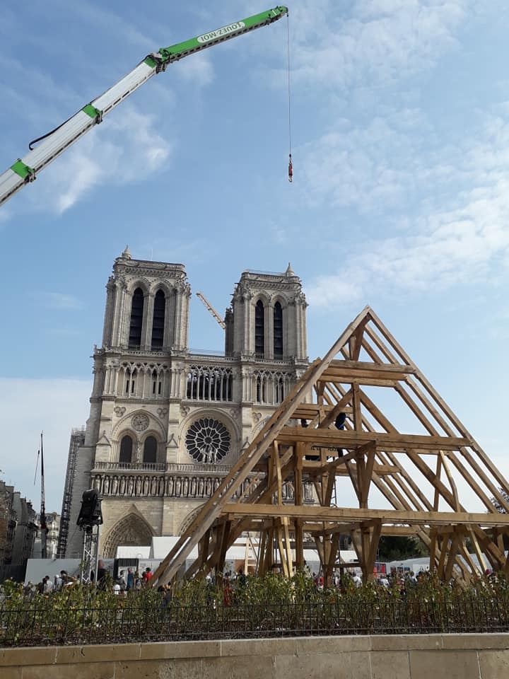 Notre Dame de Paris, l'art de la charpente