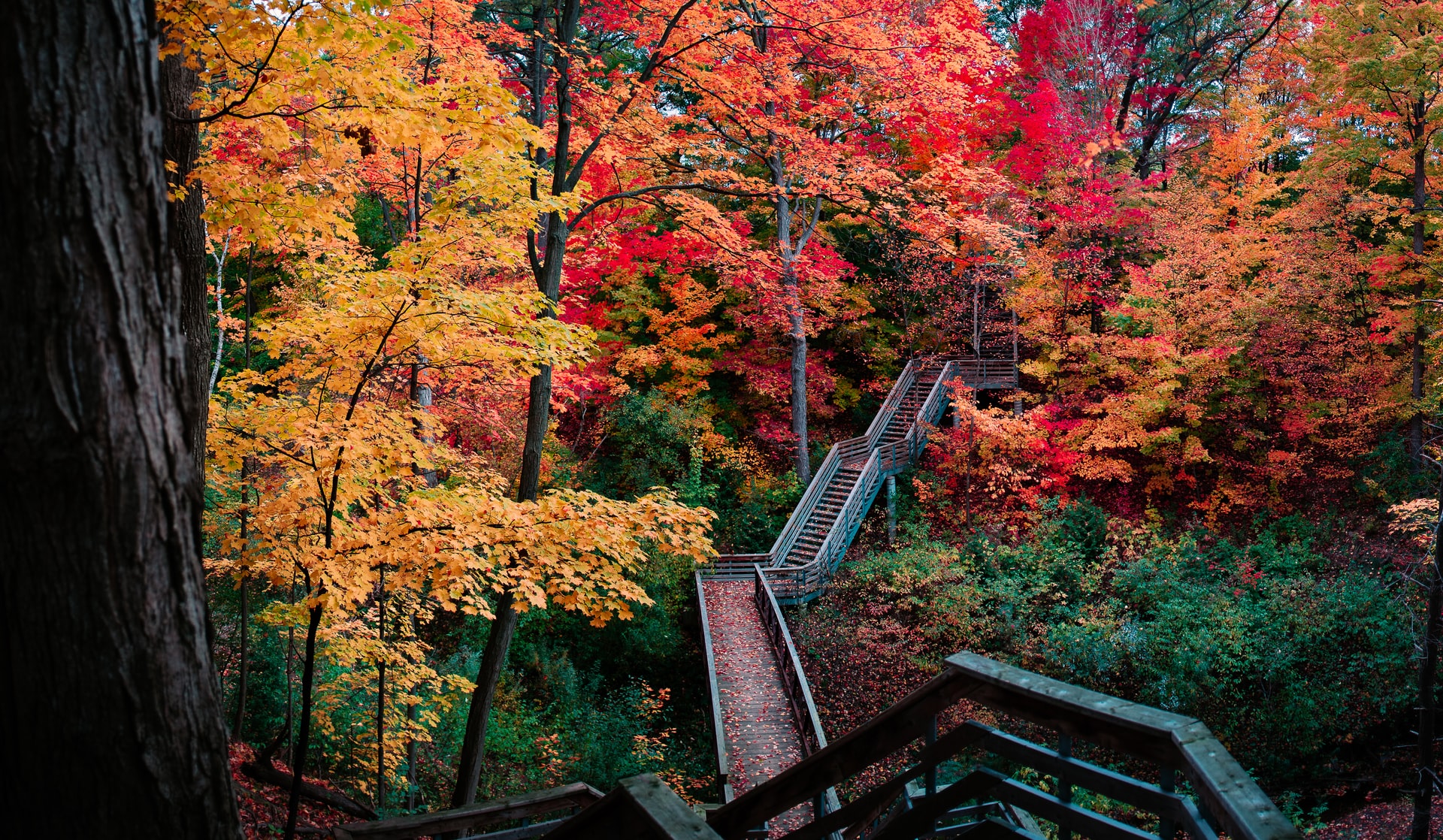 Restauration d'un escalier