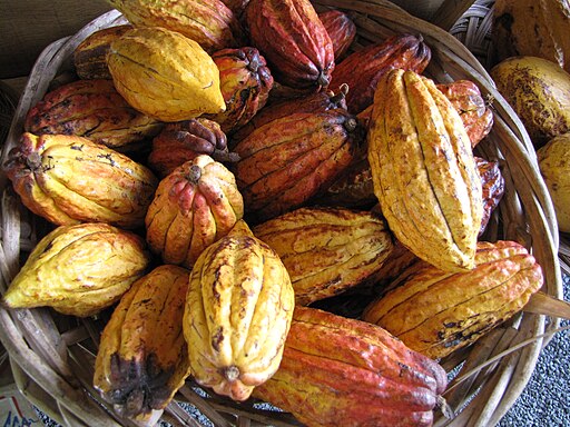 Portail de données sur le chocolat