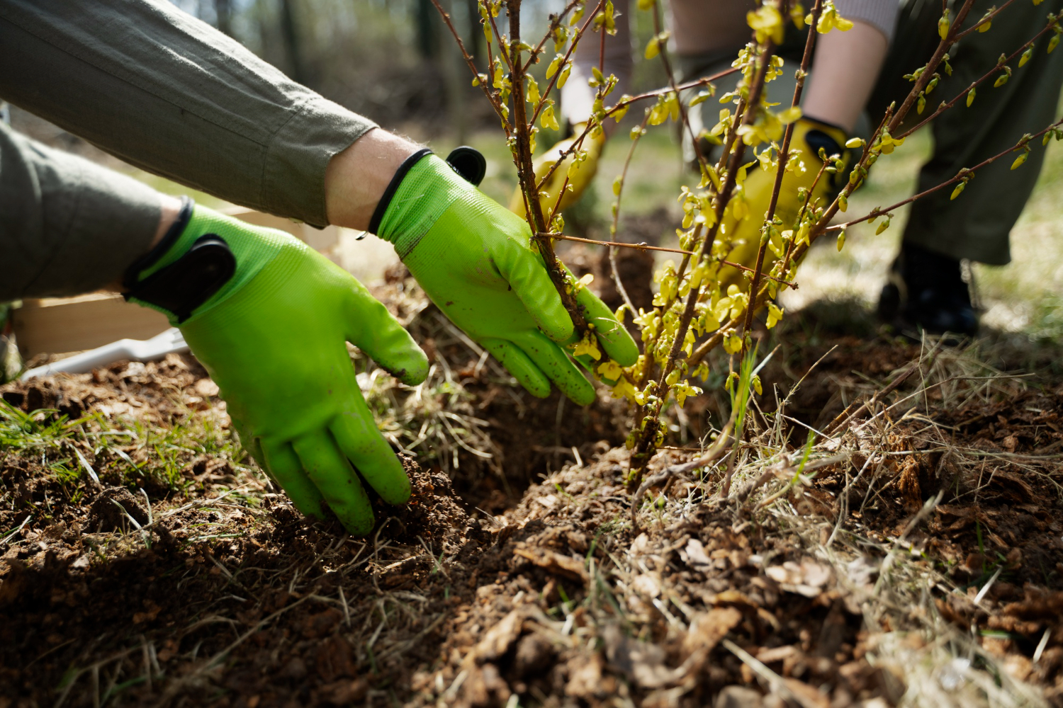 Nature en ville : enjeux  pour les jardiniers-paysagistes
