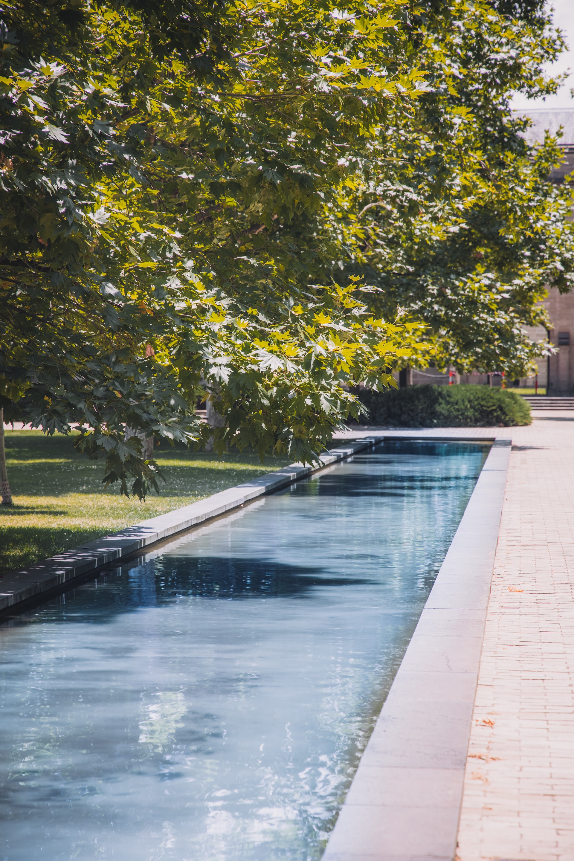Salon Piscine et Jardin