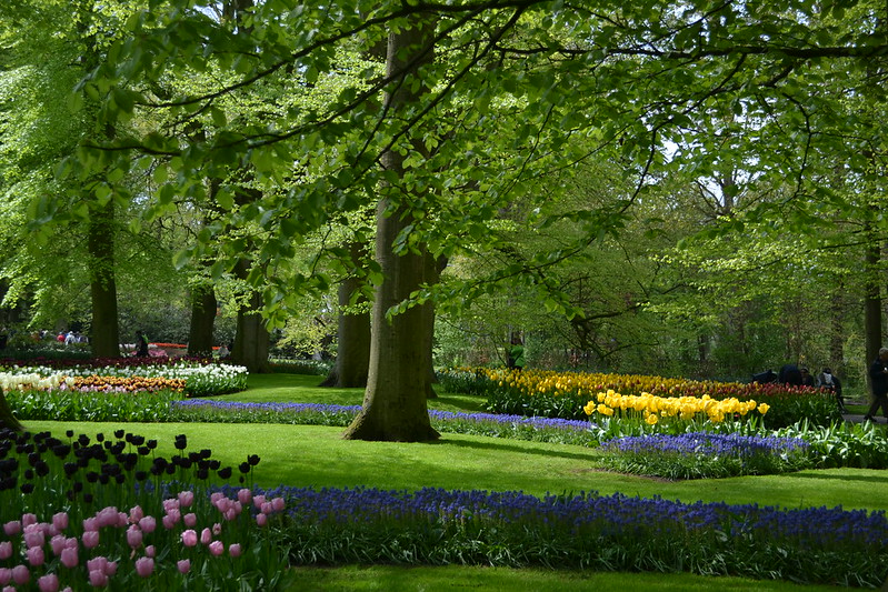 Fête des plantes de Saint-Jean de Beauregard