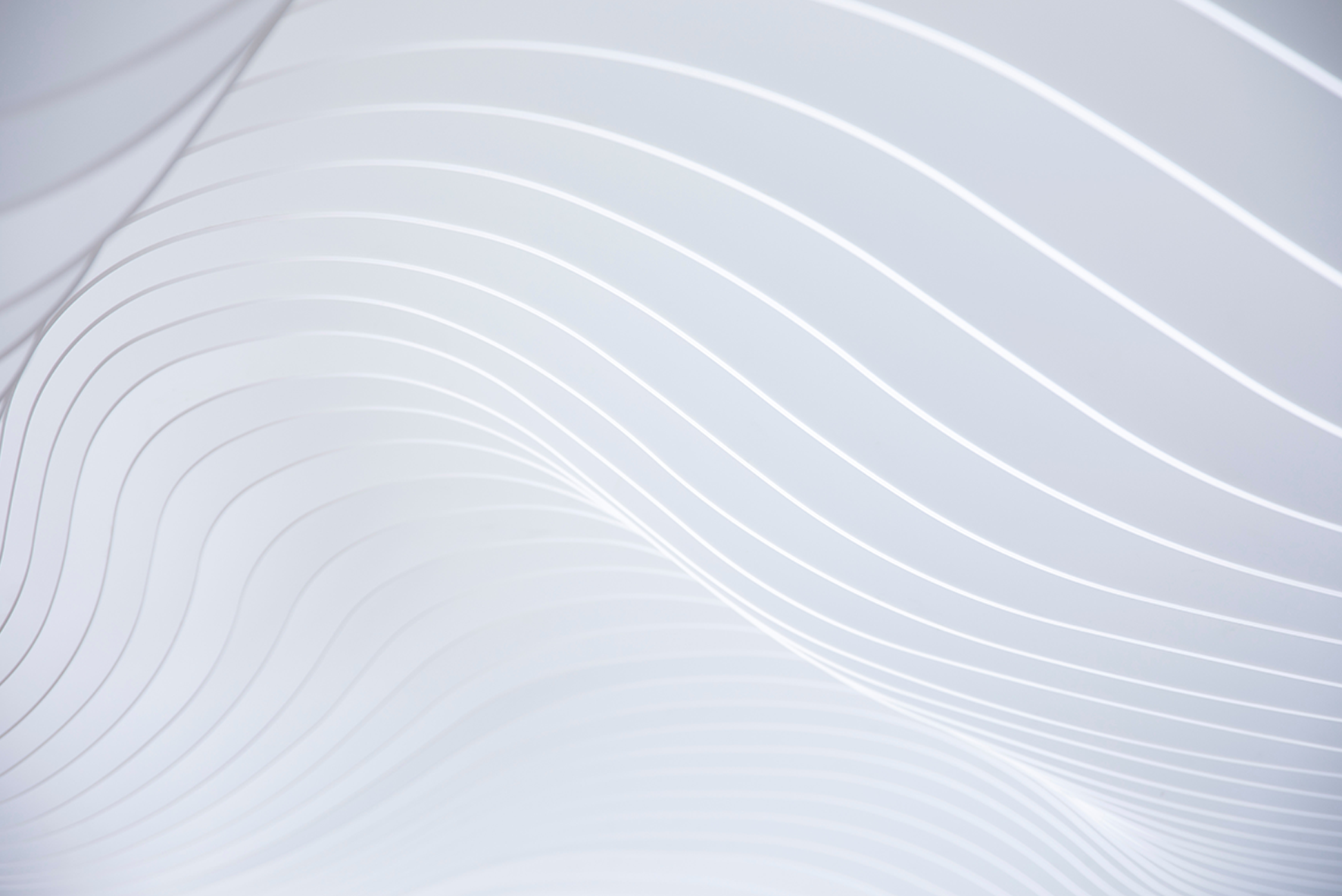 Cabinet de curiosités cérébrales